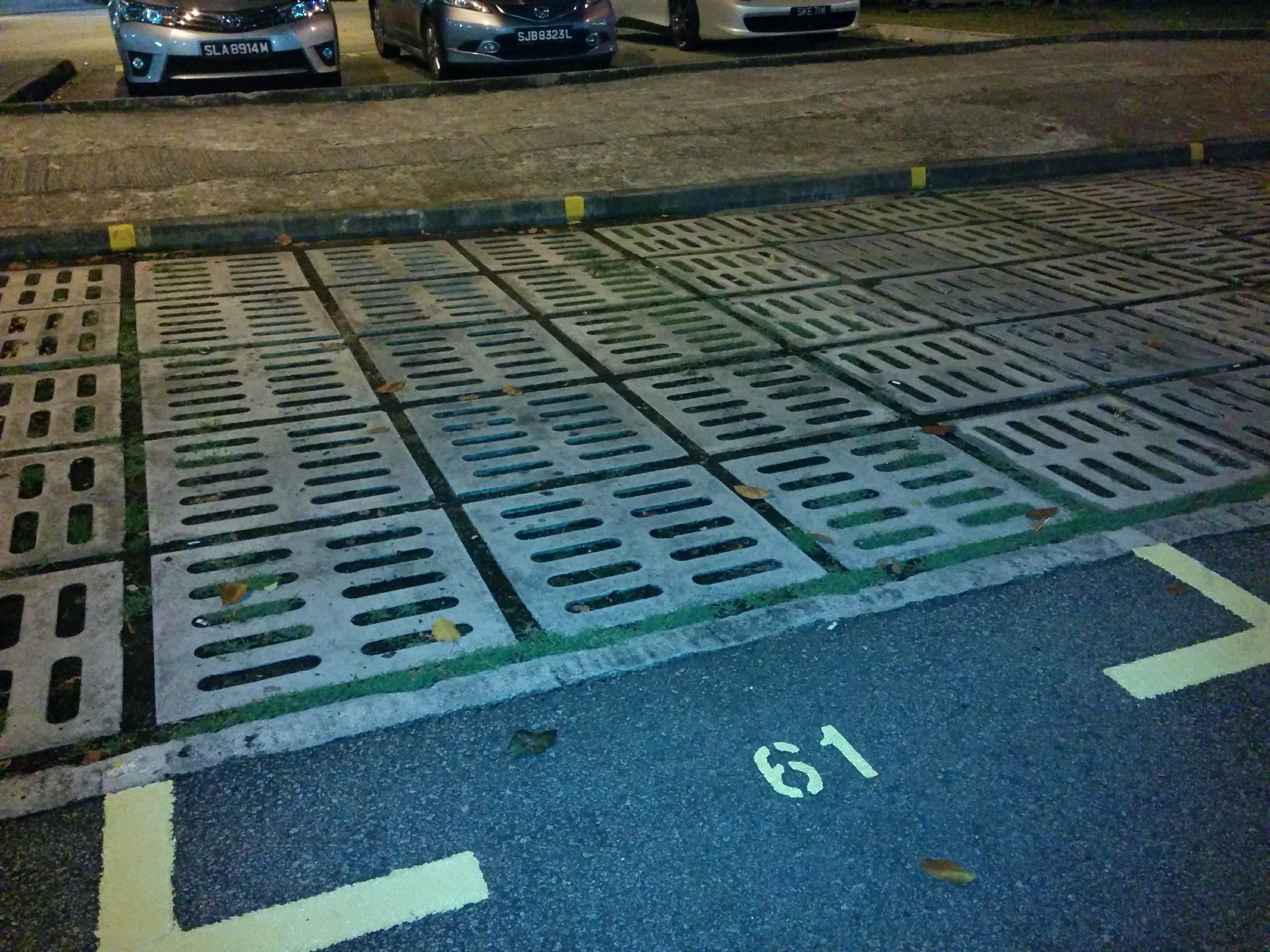 Parking lot with perforated pavers in stalls only, Singapore