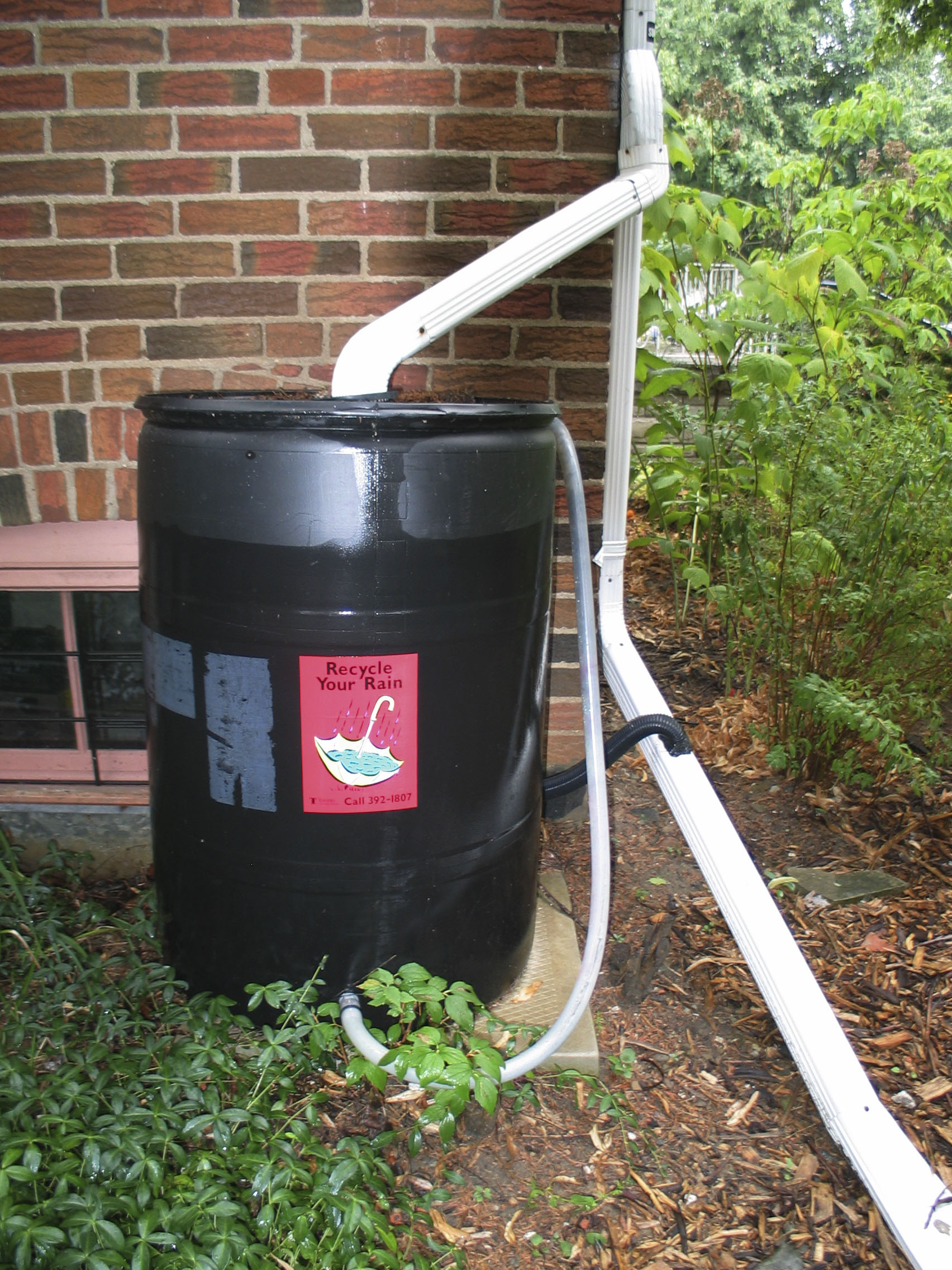 Simple rain barrel with a hose attached to use the water