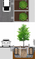 Update Stormwater Tree Trench Structural Panel Soil Cell crop.png