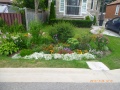 Lakeview residential bioretention swale.jpg