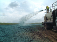 Screenshot 2025-07-31 104526.png