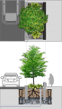 Extended tree pit.png