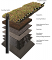 Layers green roof.PNG
