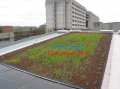 Pass perimeter green roof.PNG