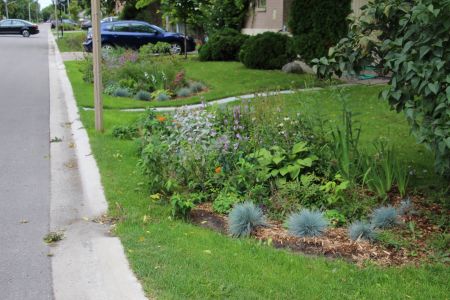 Rain gardens - LID SWM Planning and Design Guide