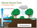 Natural Ground Cover.png