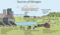 Sources of nitrogen.PNG