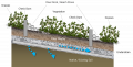 Bioswale labelled.png