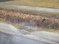 Lakeview swale curb cut during a rain event.jpg