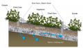 Bioswale labeled low.png