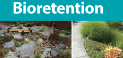 Bioretention - LID SWM Planning And Design Guide