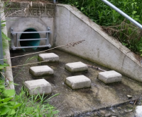 Screenshot 2025-07-31 105113.png