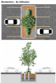Bioretention No Infiltration.png