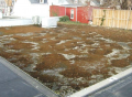 Fail Filter Bed green roof.PNG